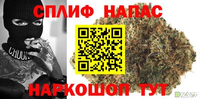 крисы Тула